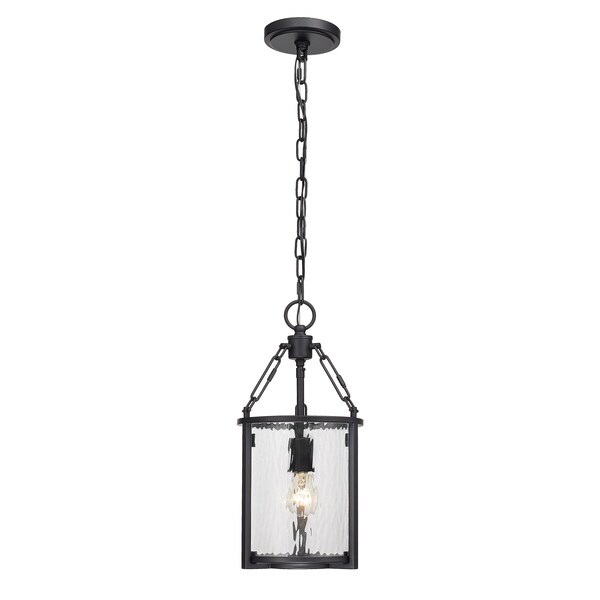 Z-Lite Barrington Pendant, 1-Light, 8.25 In.W x 17.5 In.H, Matte Black/Clear Waterglass 346P8-MB - main